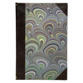 Водный путь от Томска до Омска. Путеводитель к путешествию Его Императорского Высочества Государя Наследника Цесаревича