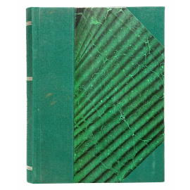 Е. Ф. Юнге. Воспоминания (1843-1860 гг.)