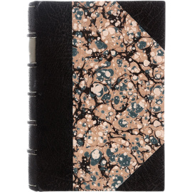 Иллюстрированная история Петра Великого. В 2 томах (в одной книге)