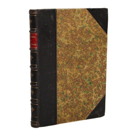 Стихотворения Ф. Тютчева