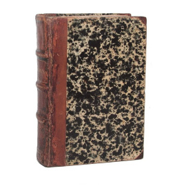 Странствователь по суше и морям