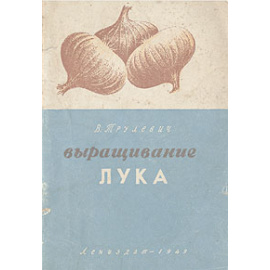 Выращивание лука