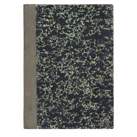 П. Я. Чаадаев. Жизнь и мышление