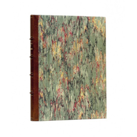 Тэн. И. Наполеон Бонапарт.