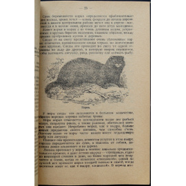 Каверзнев В.Н. Промысловые звери наших пресных водоемов. Речная выдра, норка, выхухоль, речной бобр, водяная крыса.