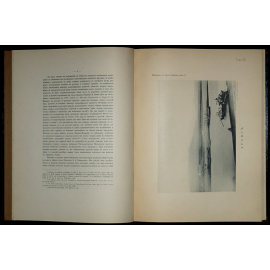 Никольский М.В. Клинообразные надписи Закавказья.