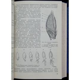 Климовский Д. Н., Стабников В. Н. Технология спиртового производства.