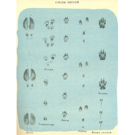 Детский календарь природы. 1958 год
