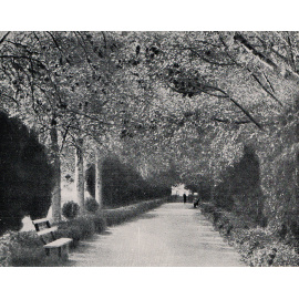 Архитектура парков Кавказа и Крыма