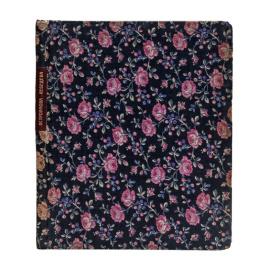 Бенуа А. и Эрнст С. Остроумова-Лебедева.