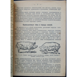 Бойков В. Свиноводство. Племенное и промышленное разведение свиней в совхозах, колхозах и поселковых товариществах