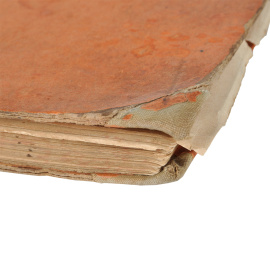 Амазонка, царица рек Южной Америки