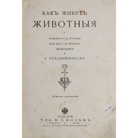 Как живут животные. Очерки и картины из быта и нравов животных