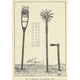 Прививка и размножение различных грунтовых деревьев и кустарников