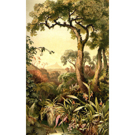 Жизнь растений. Том 1. Форма и жизнь растения