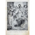 Солнце правды. О жизни и учении Господа нашего Иисуса Христа. Избранные проповеди протоиерея И. И. Сергиева (Кронштадтского)