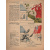 Журнал "Крокодил", 1946 год, № 6, 28 февраля