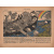 Журнал "Крокодил", 1946 год, № 7, 10 марта