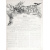 Охотничья газета. Иллюстрированное еженедельное издание. 1895 год, выпуски 1 - 50