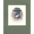 Д. Ратгауз. Полное собрание стихотворений в 3 томах (комплект из 3 книг)