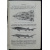 Берг Л.С. Рыбы пресных вод СССР и сопредельных стран. В трех частях