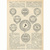 Советский коллекционер. Полный годовой комплект журнала. 1931 год (комплект из 12 книг)