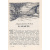 Ленинградский год. Май 1942 - 1943 (с автографом автора)