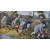 Pieter Bruegel d. A. книга