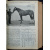 Коневодство и коннозаводство: Журнал. 1930 г. № 78-87, 1(88)-7(94). Годовой комплект