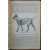 Андреев Л.А., проф., Васильев В.В. и др. Служебное собаководство. Руководство по подготовке специалистов службы собак. Часть 2.