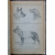 Андреев Л.А., проф., Васильев В.В. и др. Служебное собаководство. Руководство по подготовке специалистов службы собак. Часть 2.