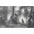 Иван Иванович Шишкин. 1832-1898