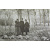 Природа и Охота. Ежемесячный иллюстрированный журнал. 1909 год, выпуски 1 - 12. В двух книгах