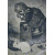 Светлячок. Журнал для детей младшего возраста. 1905 год, выпуски 1 - 24