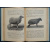 Кулешов П. Н. Овцеводство. Учебник частного животноводства и скотоврачевания.