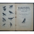 Раевский Ф.В. Канарейка. Разведение, обучение пению, уход, болезнь и лечение