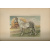 Par M. le Dr Leonid de Simonoff et M. Jean de Moerder Les races chevalines, avec une etude speciale sur les chevaux russes книга