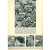 Fussball Weltmeisterschaft 1954 книга