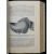 Подвысоцкий В. В. Основы общей и экспериментальной патологии.