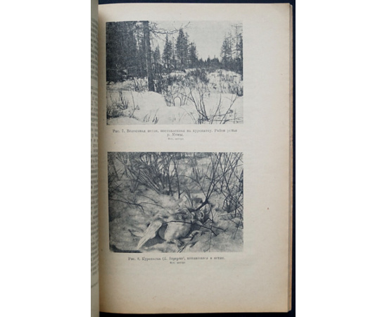 Михель Н.М. Материалы по птицам Индигирского края.