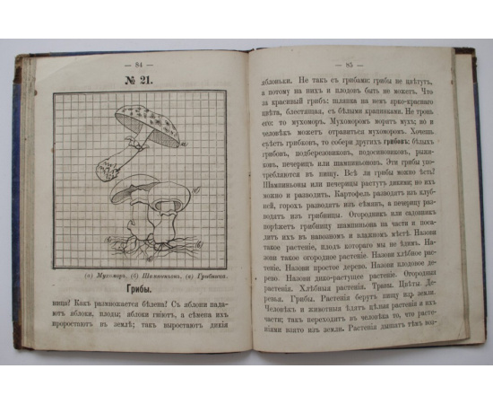 Корф Н.А. Малютка. Первая книга после азбуки. Для народной школы и семьи