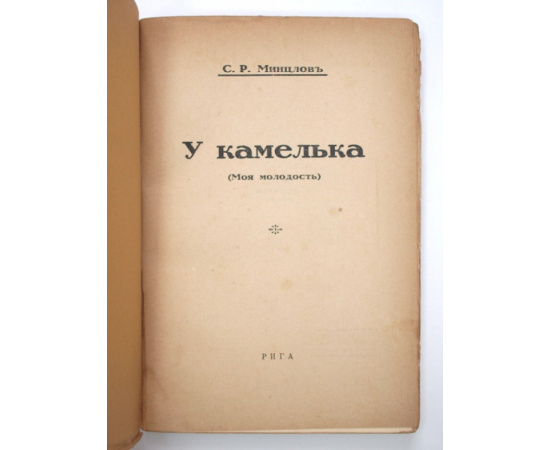 У камелька: (Моя молодость).