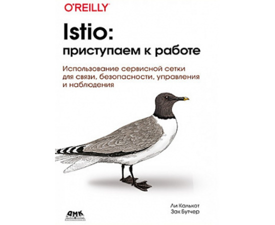 Калькот Л., Бутчер З. Istio: приступаем к работе.