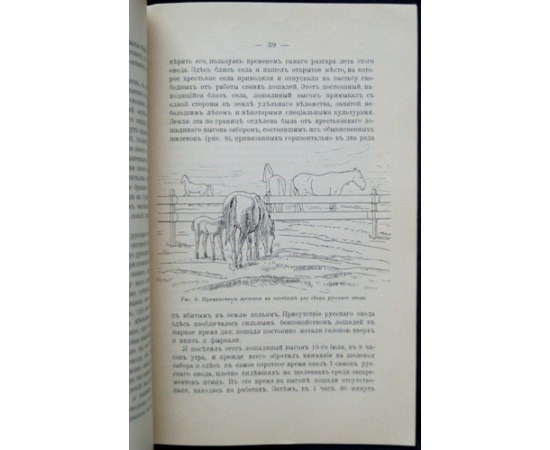 Порчинский И.А. Русский овод. Паразит лошади, выпрыскивающий личинок в глаза людей