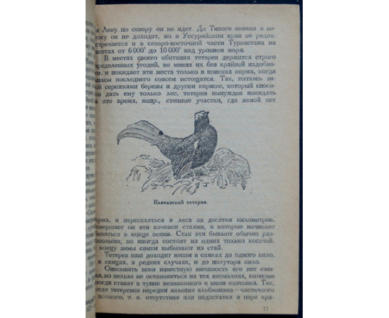 Каверзнев В.Н. Охота на тетеревов.