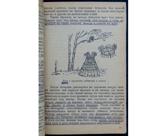 Каверзнев В.Н. Охота на тетеревов.