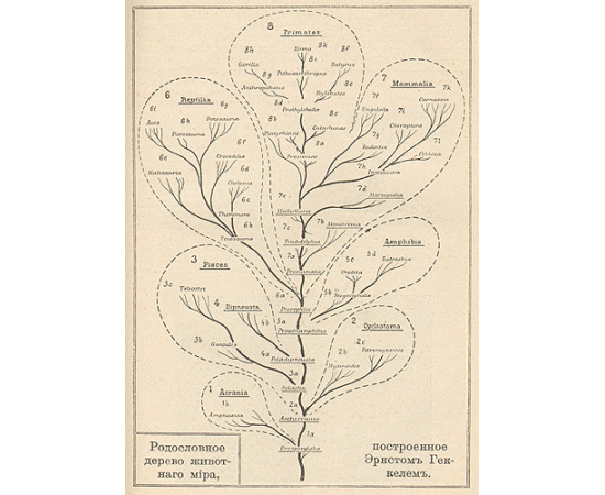 Великие люди - В пяти книгах