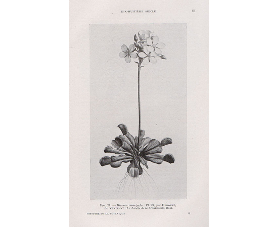 Histoire de la Botanique en France книга
