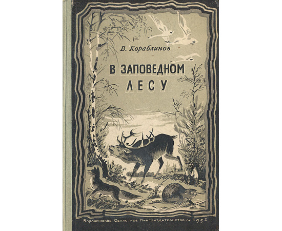 В заповедном лесу