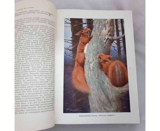 В. Гааке. Животный мир, его быт и среда (комплект из 3 книг)